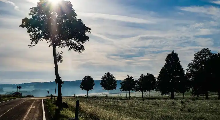 Feriebolig i Wochenendhausgebiet Auf Hasert