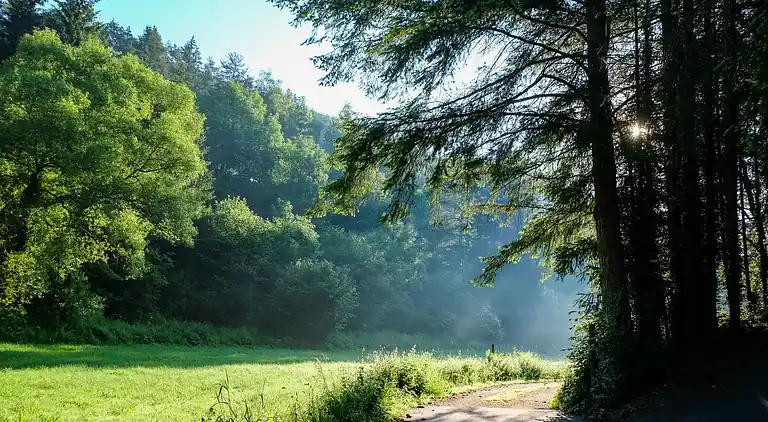 Feriebolig i Wochenendhausgebiet Auf Hasert