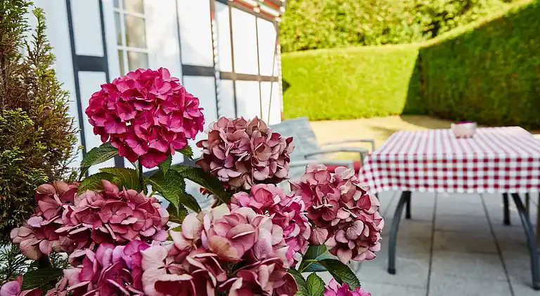 Feriebolig i Mecklinghausen