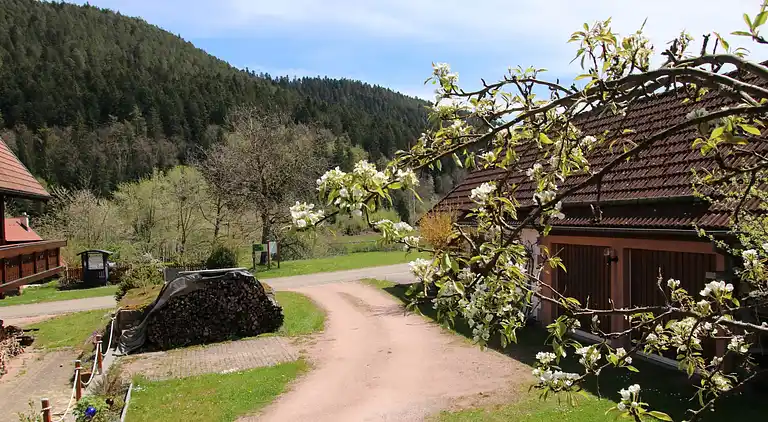 Ferienhaus in Reinerzau