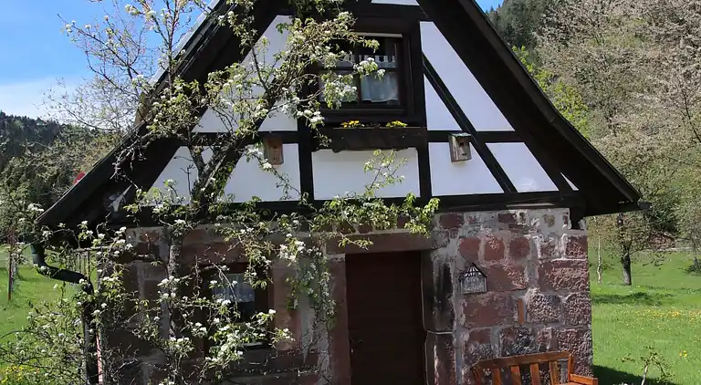 Ferienhaus in Reinerzau