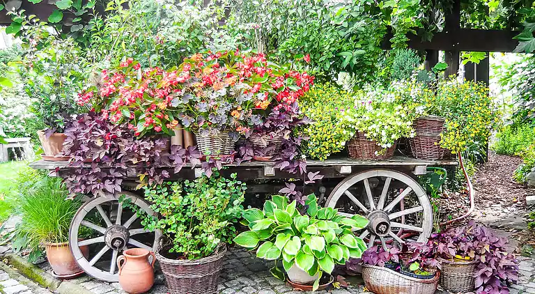 Ferienhaus in Ichenheim