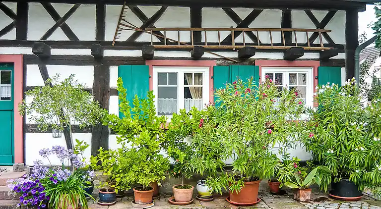 Ferienhaus in Ichenheim