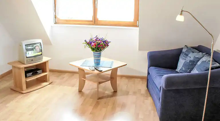 Feriebolig i Ichenheim