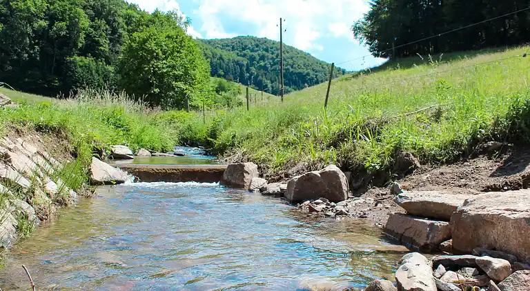 Ferienhaus in Bollenbach