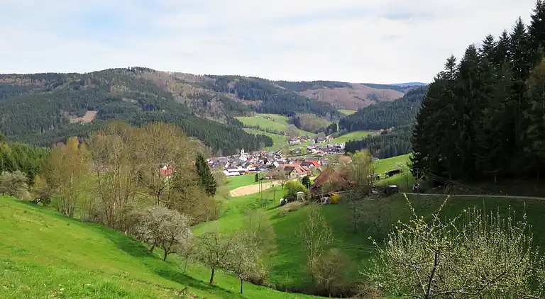 Ferienhaus in Bollenbach