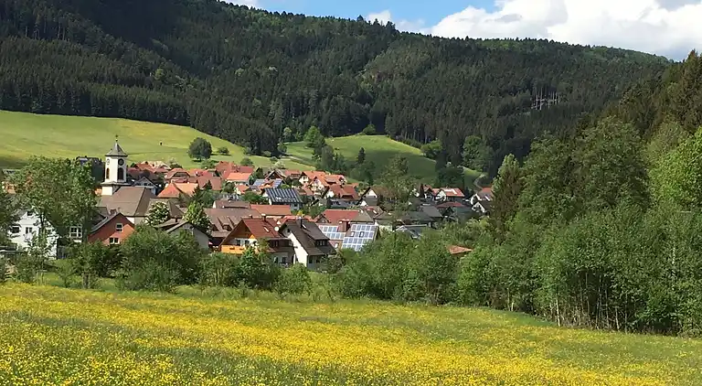 Ferienhaus in Bollenbach