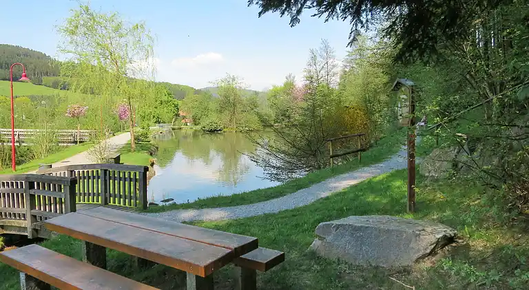 Ferienhaus in Bollenbach