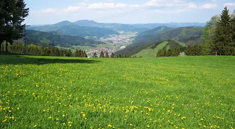 Ferienhaus in Bollenbach