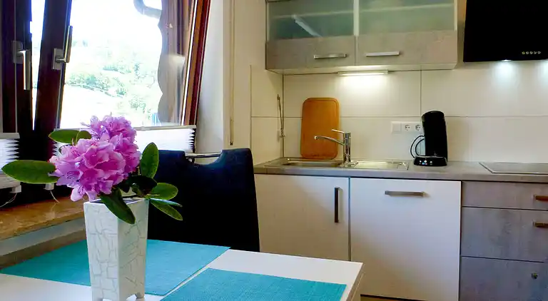 Feriebolig i Welschensteinach