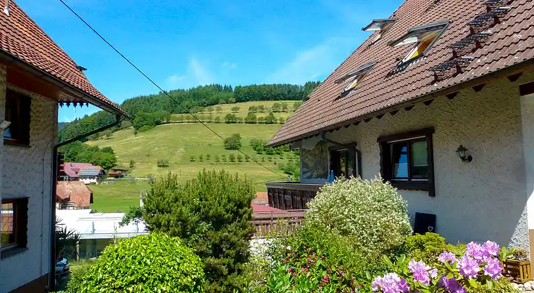 Feriebolig i Welschensteinach