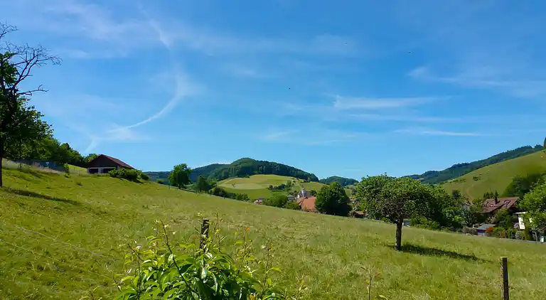 Feriebolig i Welschensteinach