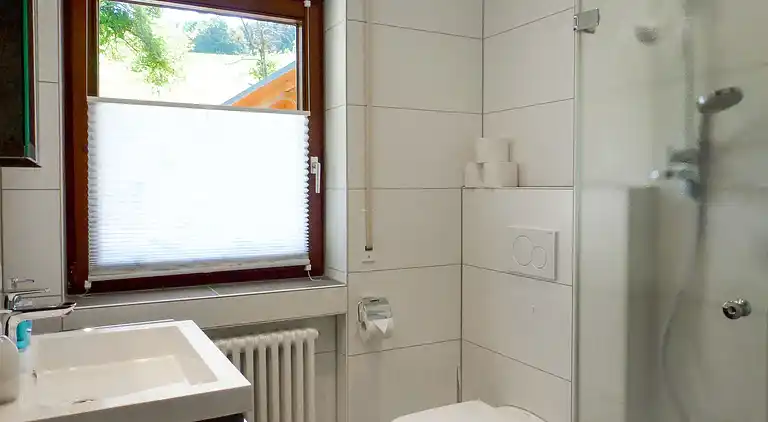 Feriebolig i Welschensteinach