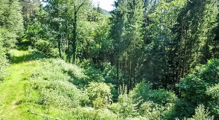 Holiday home in Lehengericht