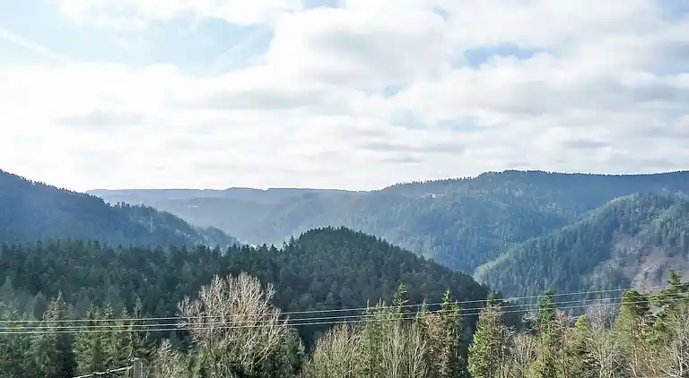 Feriebolig i Lehengericht