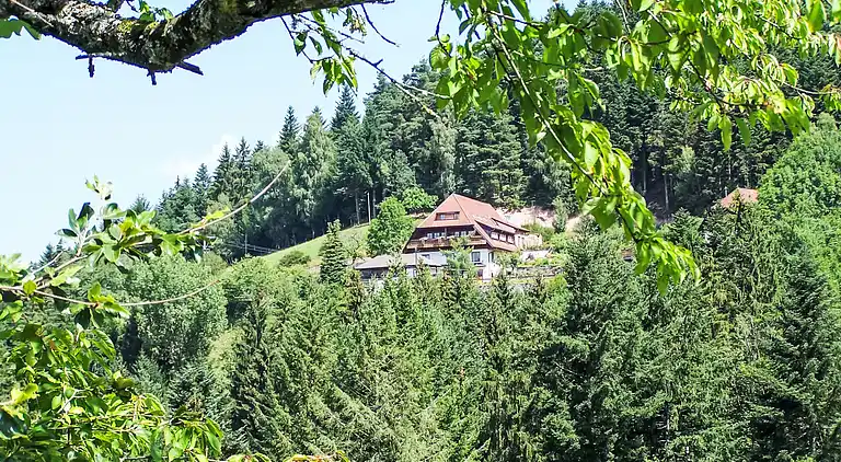 Feriebolig i Lehengericht