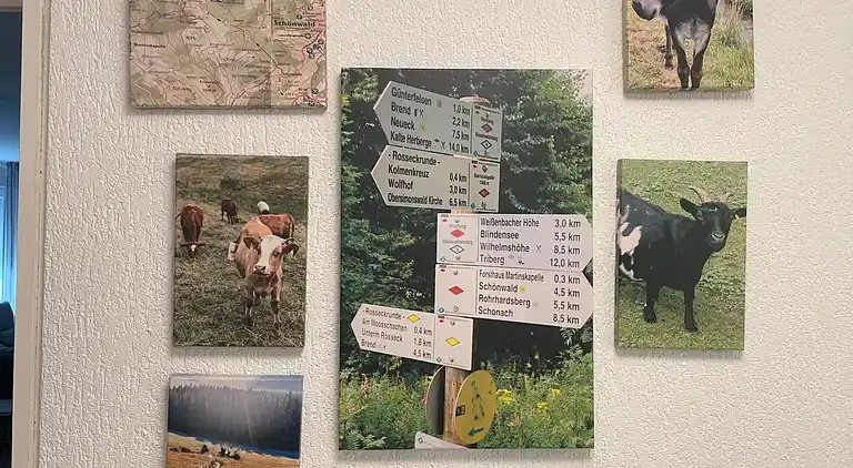 Ferienhaus in Schönwald im Schwarzwald