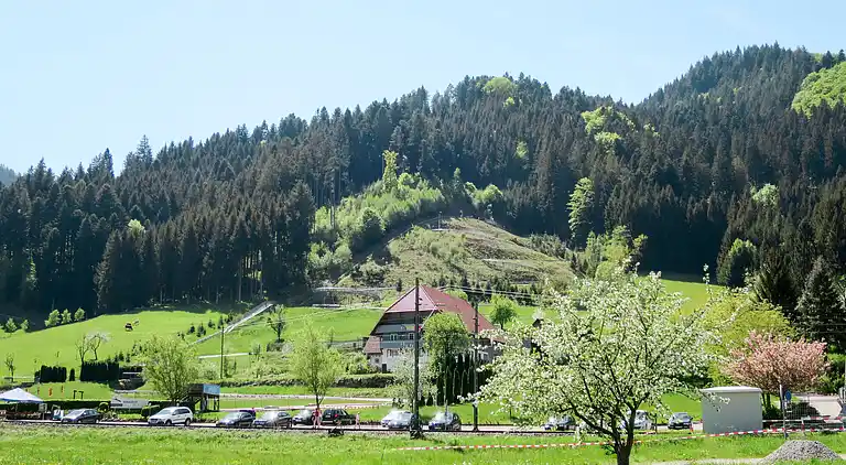 Ferienhaus in Niederwasser