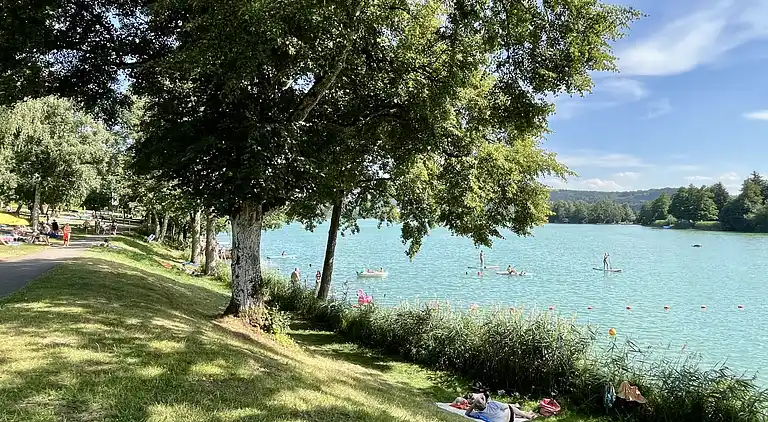 Holiday home in Ruschweiler