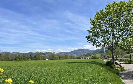 Hytte i Kirchzarten