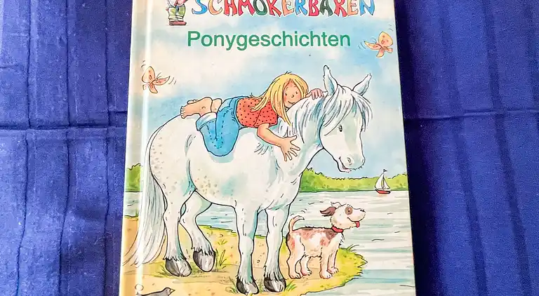 Ferienhaus in Riggenbach