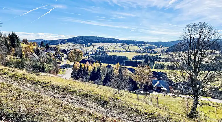 Ferienhaus in Riggenbach