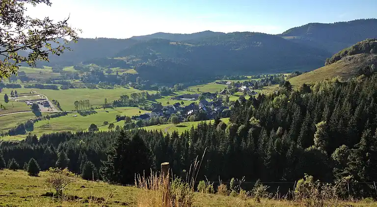 Ferienhaus in Riggenbach