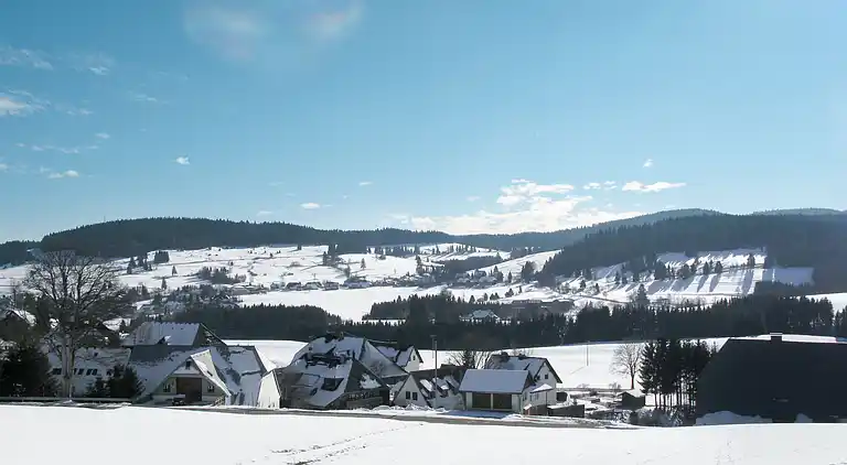 Ferienhaus in Riggenbach