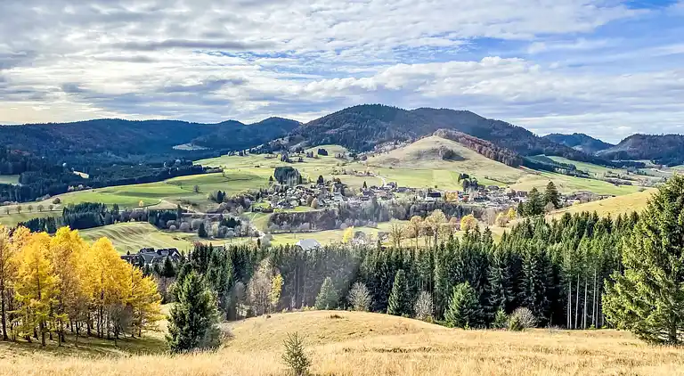 Ferienhaus in Riggenbach