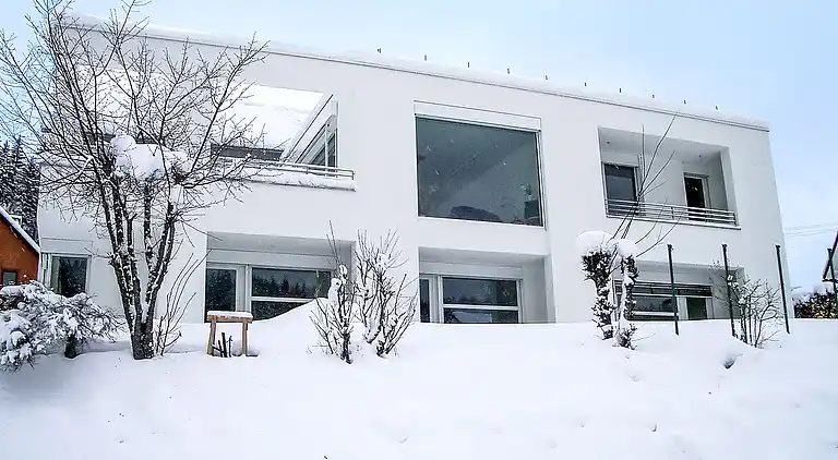 Ferienhaus in Eisenbach (Hochschwarzwald)