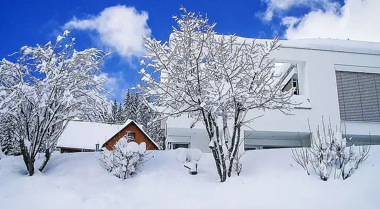 Ferienhaus in Eisenbach (Hochschwarzwald)