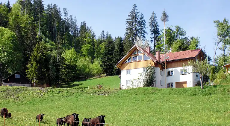 Ferienhaus in Titisee