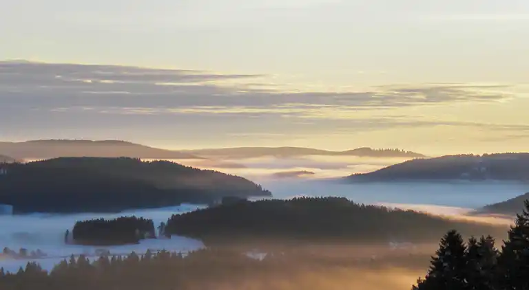 Ferienhaus in Titisee
