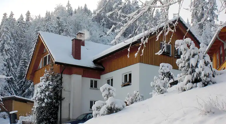 Ferienhaus in Titisee
