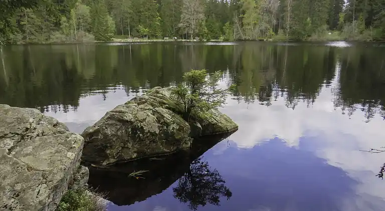 Feriebolig i Titisee