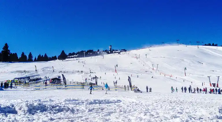 Feriebolig i Titisee