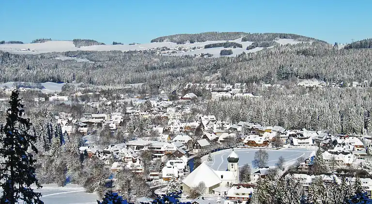 Feriebolig i Titisee