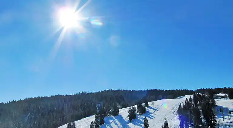 Feriebolig i Titisee