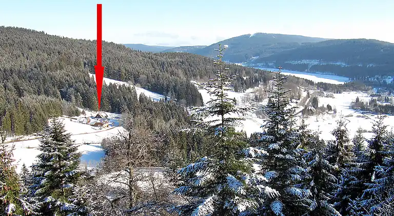 Feriebolig i Titisee