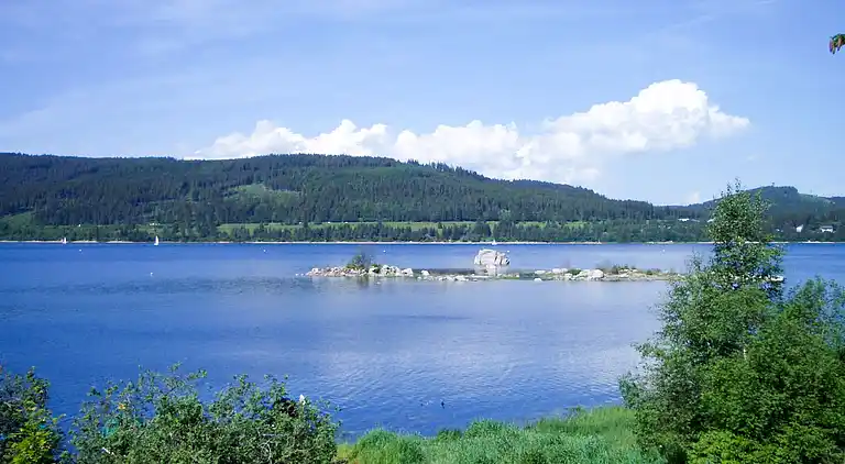Feriebolig i Titisee