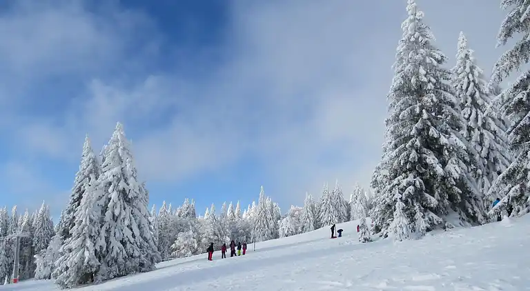 Feriebolig i Titisee