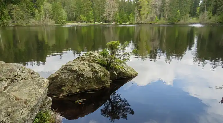 Feriebolig i Titisee