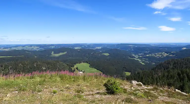 Feriebolig i Titisee