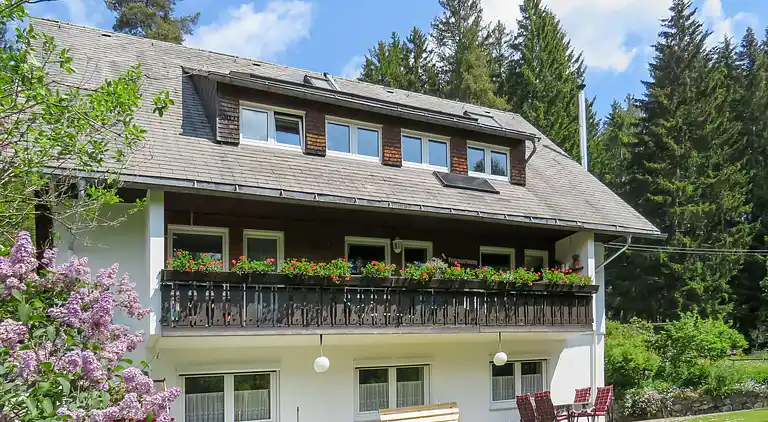 Feriebolig i Titisee