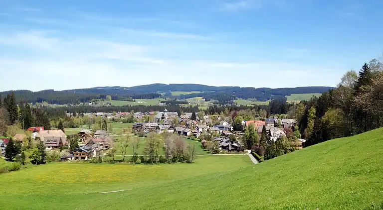 Feriebolig i Titisee