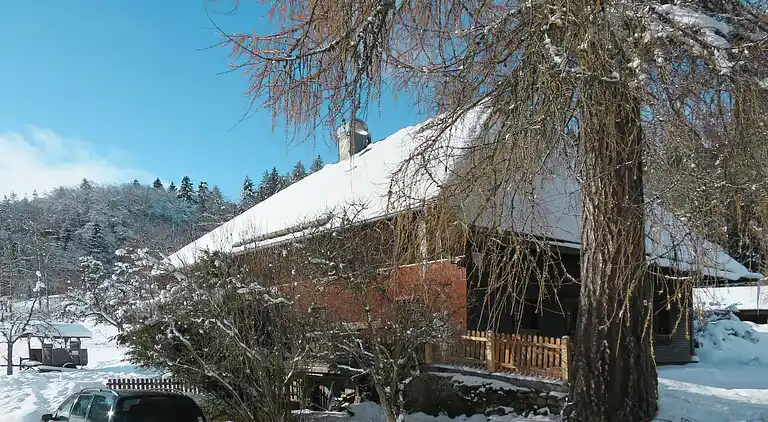 Feriebolig i Titisee