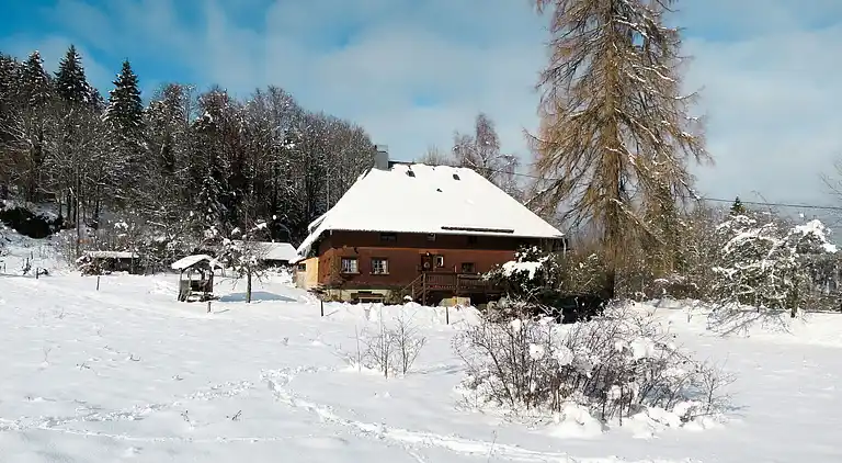 Feriebolig i Titisee