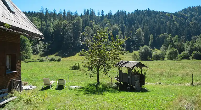 Feriebolig i Titisee