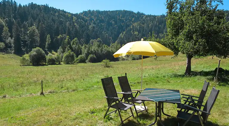 Feriebolig i Titisee