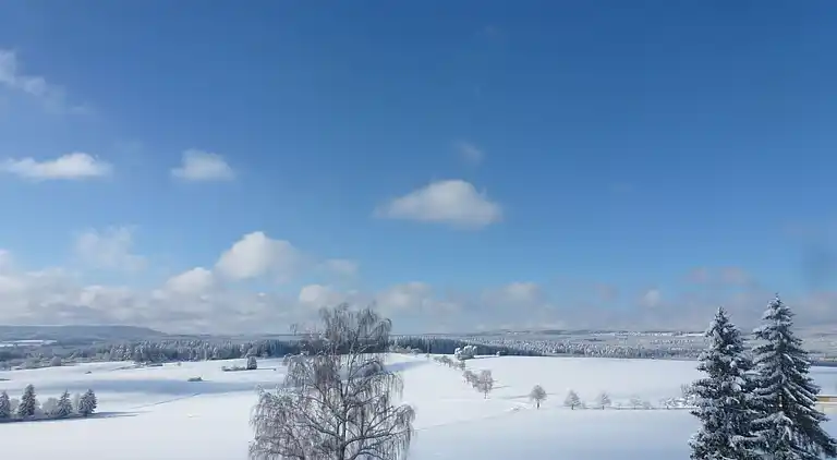 Feriebolig i Löffingen